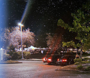 Meet your Posher, Cheyenne